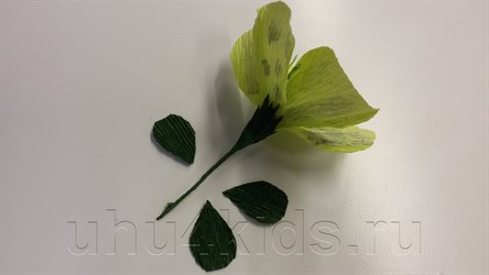 ������ �� ������
